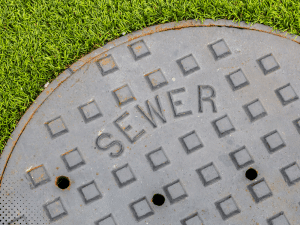 Sewer access cover embedded in lawn marking a residential sewer line
